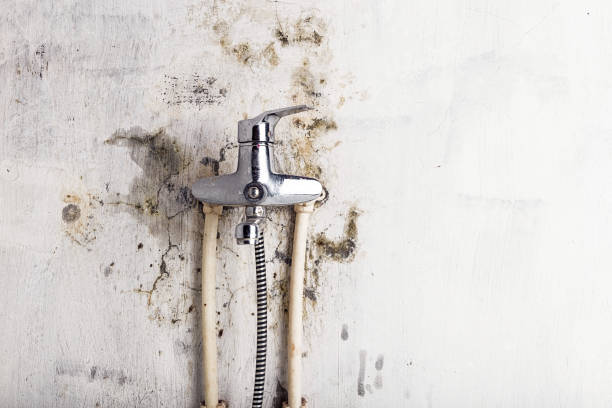 Best Mold Remediation Services  in Double Oak, TX